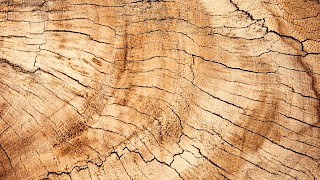 Holz schafft eine gute, warme Atmosphäre.